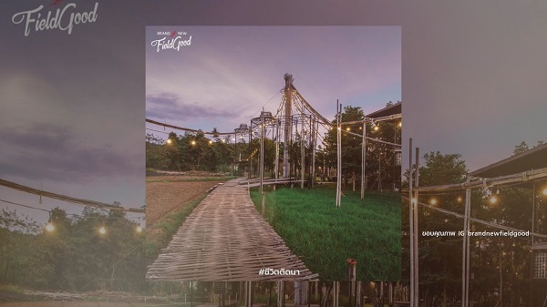 เป๊ก เปรมณัช ปิดร้านอาหารที่เชียงใหม่ หลังยอดขายต่ำสุดบางวัน 0 บาท (มีคลิป) เป๊ก เปรมณัช ปิดร้านอาหารที่เชียงใหม่ หลังยอดขายต่ำสุดบางวัน 0 บาท (มีคลิป)