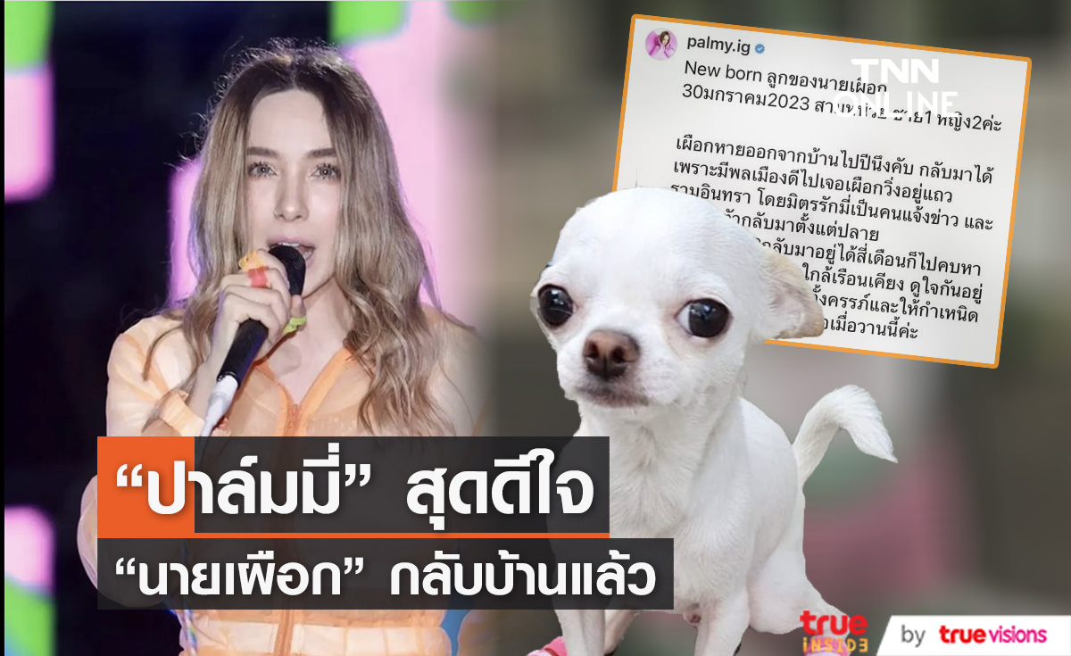 สุดดีใจ "ปาล์มมี่" เจอสุนัขที่หายออกจากบ้านนานราว 1 ปีแล้ว!