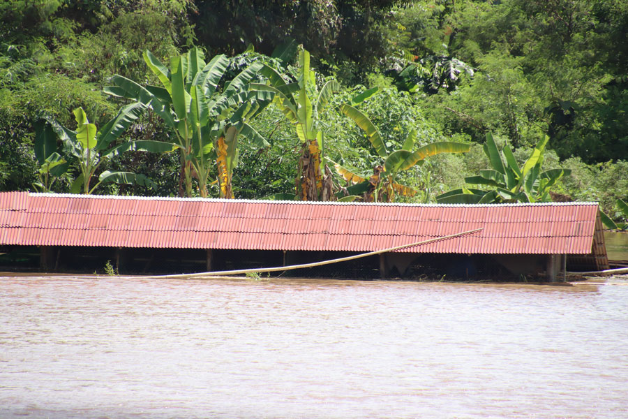 แม่ฮ่องสอน จมบาดาล! เปิดภาพน้ำท่วมหนัก ทุ่งนาจมน้ำหลายร้อยไร่