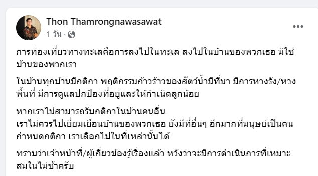 รู้จัก ปลาวัวไททัน สัตว์ที่ถูกนักดำน้ำฆ่าตาย จนเกิดดราม่า 