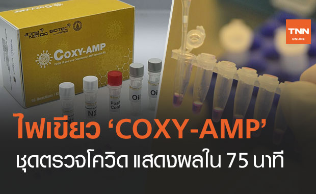 อย.ออกใบรับรอง "COXY-AMP" ชุดตรวจโควิด-19 แสดงผลใน 75 นาที