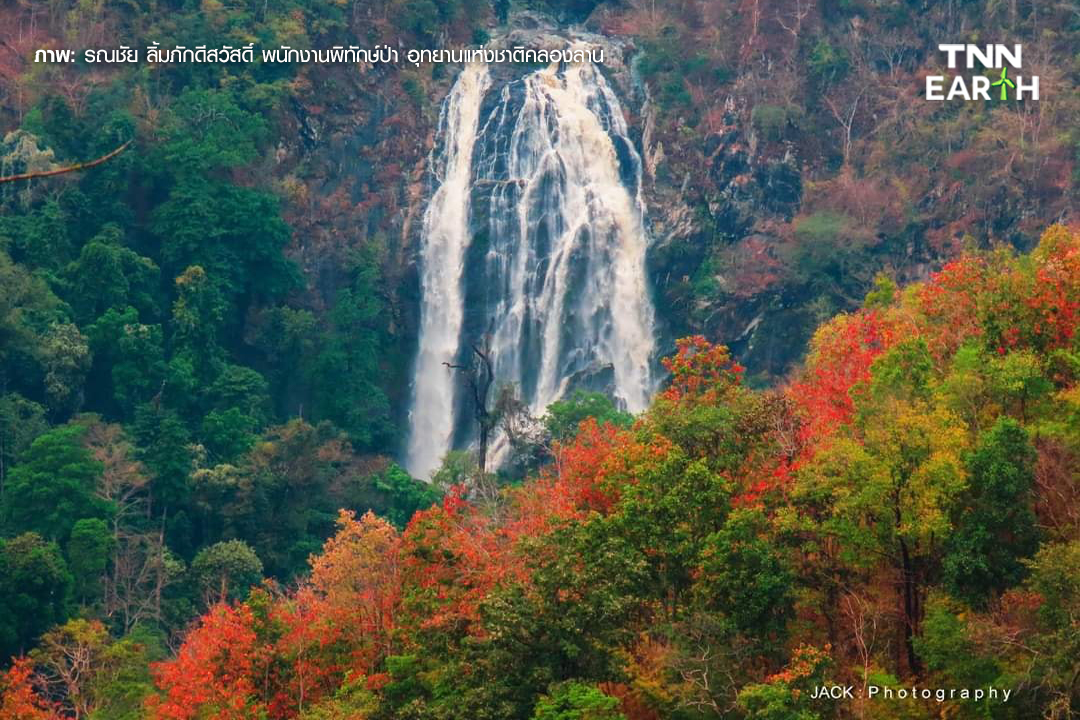 ชวนชม “ป่าเปลี่ยนสี” 1 ปีมีครั้งเดียว ที่คลองลาน จ.กำแพงเพชร ชวนชม “ป่าเปลี่ยนสี” 1 ปีมีครั้งเดียว ที่คลองลาน จ.กำแพงเพชร