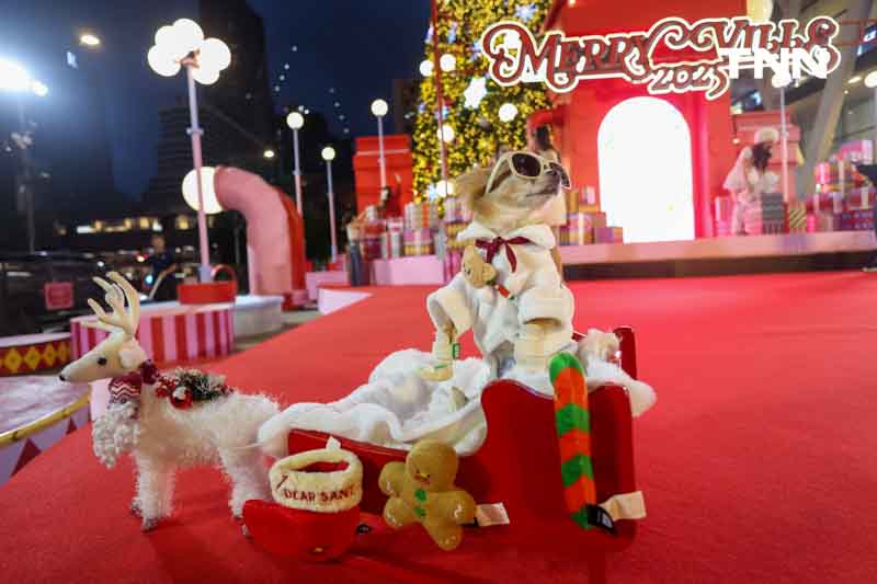 เปิดไฟต้นคริสต์มาส สู่ย่าน Regent Street แลนด์มาร์กที่ทุกคน “ต้องมา” เปิดไฟต้นคริสต์มาส สู่ย่าน Regent Street แลนด์มาร์กที่ทุกคน “ต้องมา”