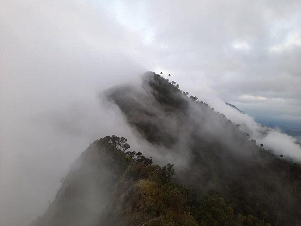 15 ที่เที่ยวตาก 2565 ตะลุยน้ำตกทีลอซู สัมผัสธรรมชาติสุดฟิน