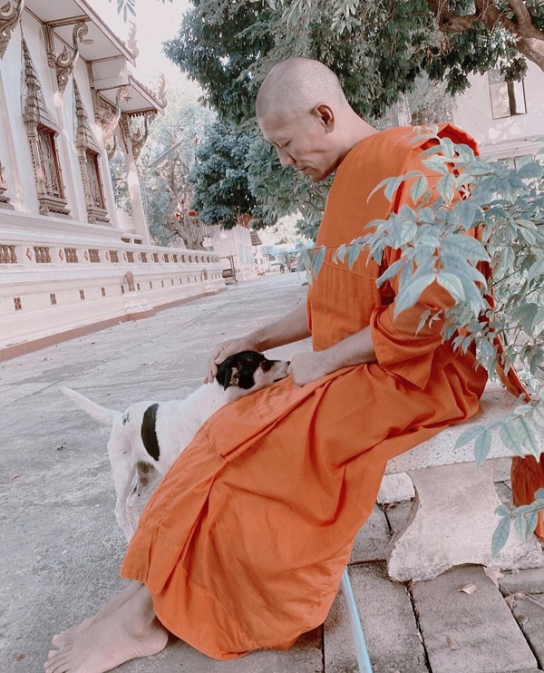 ทิดป๋อมแป๋ม ลาสิกขาแล้ว หลังบวชแบบเรียบง่าย เป็นเวลา 11 วัน ทิดป๋อมแป๋ม ลาสิกขาแล้ว หลังบวชแบบเรียบง่าย เป็นเวลา 11 วัน