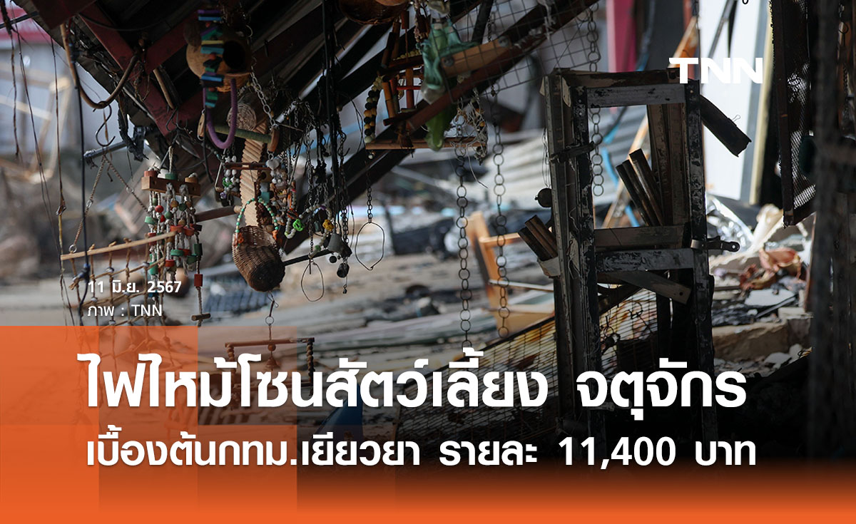 ไฟไหม้โซนสัตว์เลี้ยง จตุจักร กทม.เยียวยาผู้ประกอบการรายละ 11,400 บาท