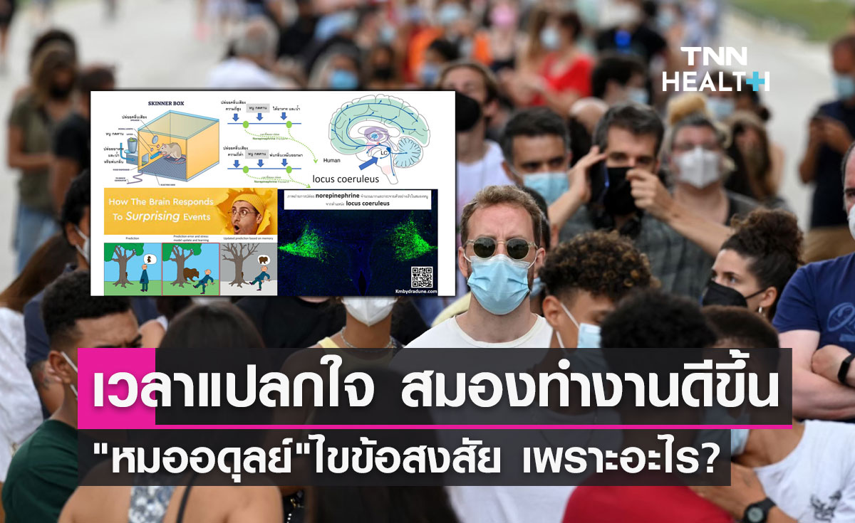 ทำไม? เวลาแปลกใจ สมองทำงานได้ดีขึ้น "หมออดุลย์" มีคำตอบ