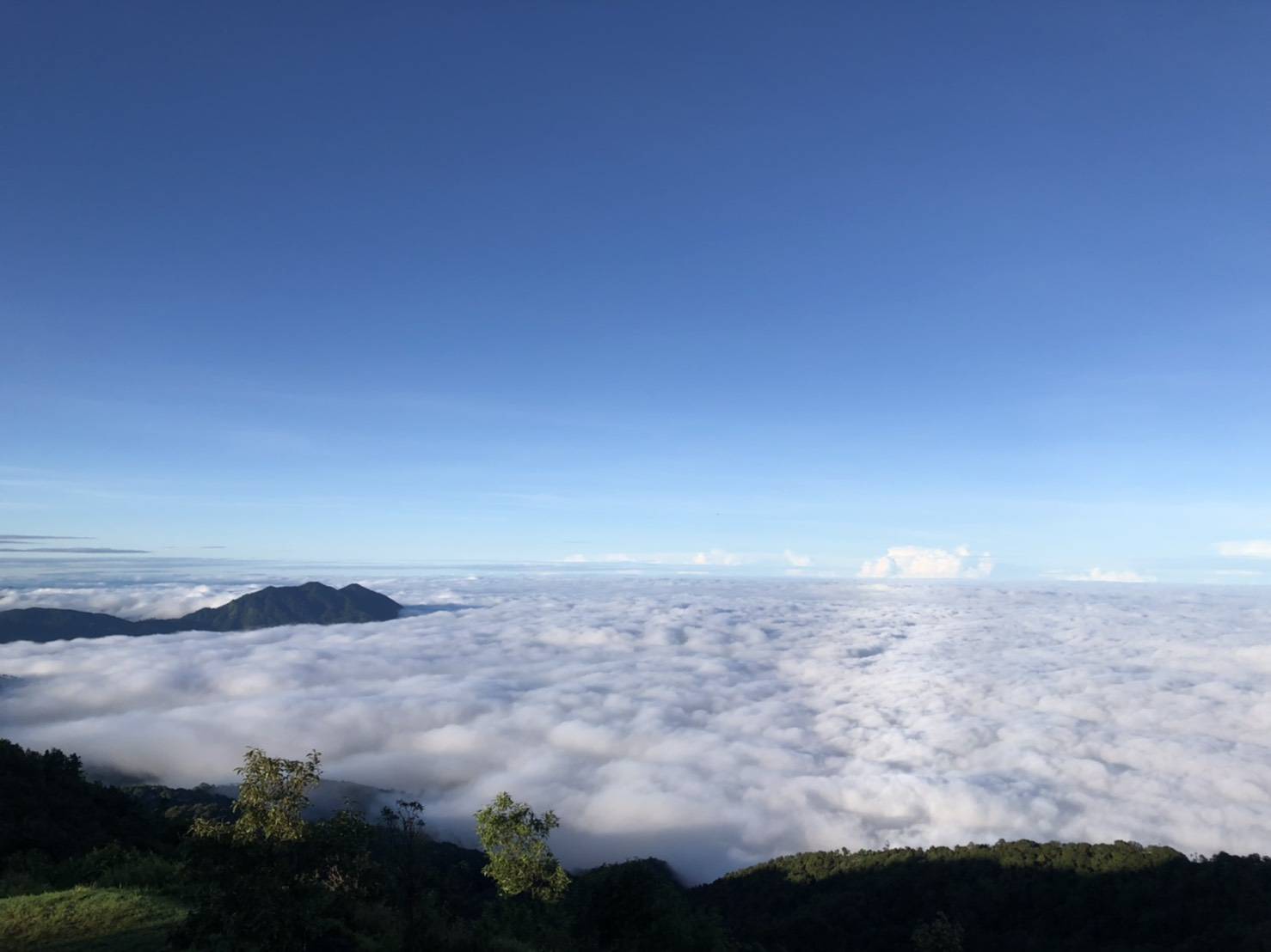 15 สิงหาคม! ดอยอินทนนท์เปิดรับนักท่องเที่ยวสัมผัสไอหนาว