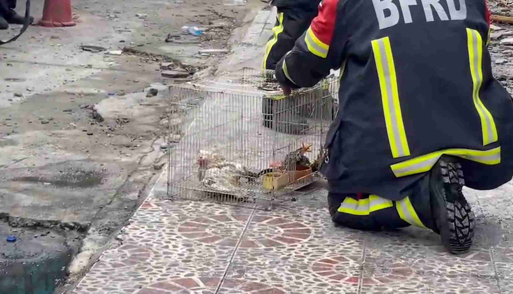 คืบหน้าไฟไหม้ตลาดจตุจักร ตั้งกองอำนวยการช่วยเหลือ ปาฏิหาริย์พบไก่รอดชีวิต!