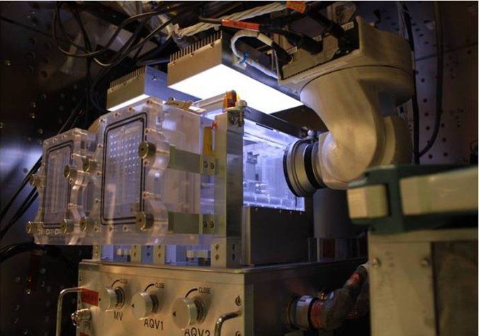 จีนเตรียมส่ง “ปลาม้าลาย” ขึ้นสู่สถานีอวกาศเทียนกง จีนเตรียมส่ง “ปลาม้าลาย” ขึ้นสู่สถานีอวกาศเทียนกง