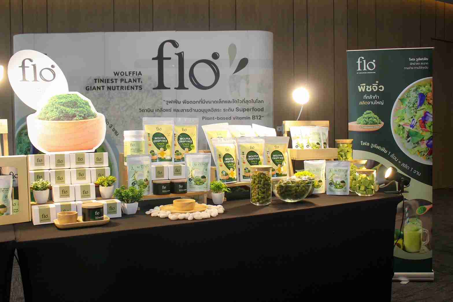 “โฟล วูล์ฟเฟีย” ประกาศความสำเร็จพัฒนา “ผำ” เปิดตัวนวัตกรรมและผลิตภัณฑ์สู่ superfood สุดยอดอาหารแห่งอนาคต “โฟล วูล์ฟเฟีย” ประกาศความสำเร็จพัฒนา “ผำ” เปิดตัวนวัตกรรมและผลิตภัณฑ์สู่ superfood สุดยอดอาหารแห่งอนาคต