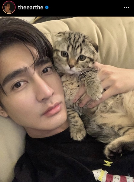 เอิร์ท-มิกซ์ คลั่งรัก ทุ่ม 250,000 สร้างบ้านให้น้องแมว เอิร์ท-มิกซ์ คลั่งรัก ทุ่ม 250,000 สร้างบ้านให้น้องแมว