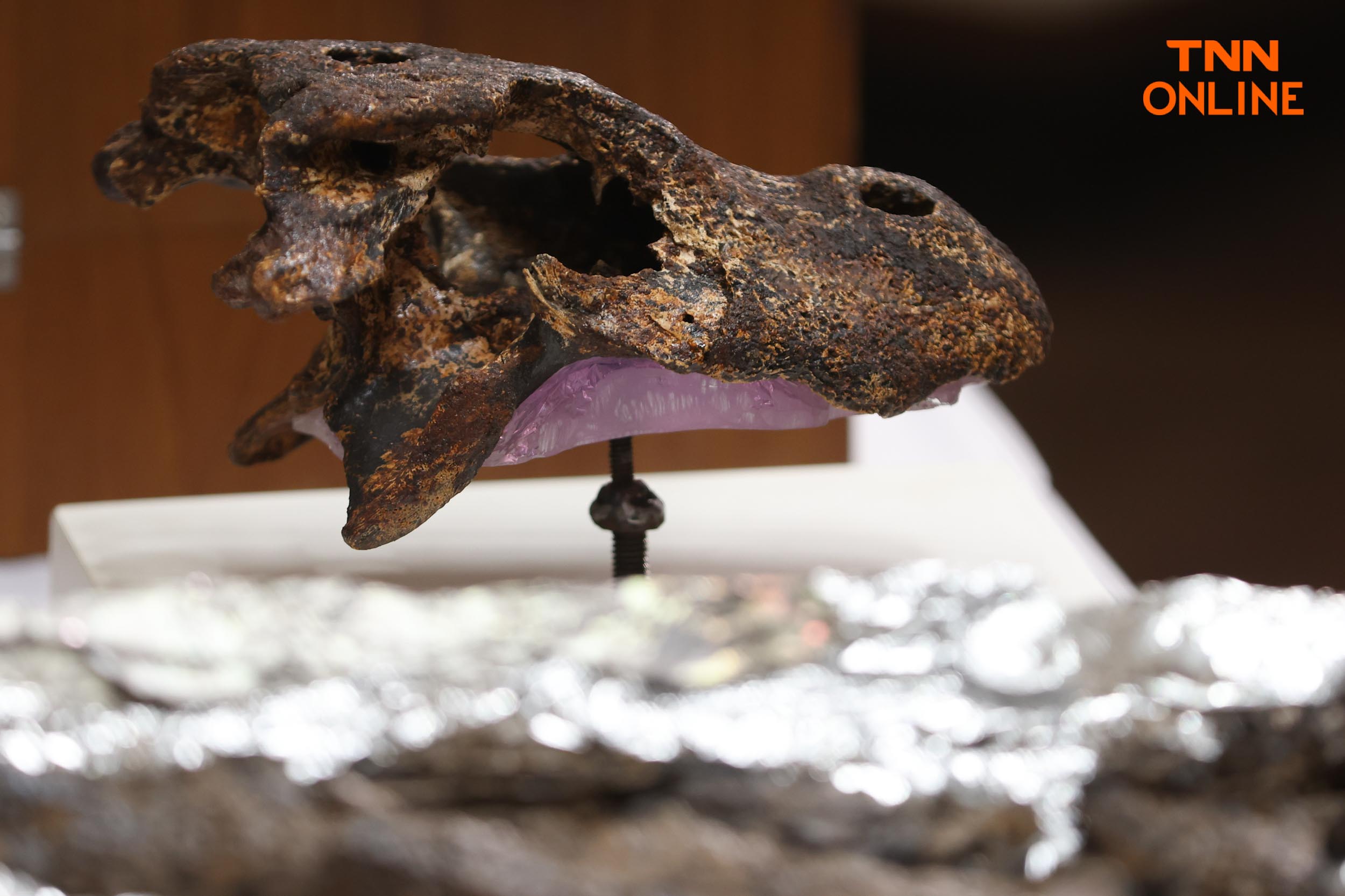 สายพันธุ์ใหม่ของโลก พบในไทยซากดึกดำบรรพ์อัลลิเกเตอร์ สายพันธุ์ใหม่ของโลก พบในไทยซากดึกดำบรรพ์อัลลิเกเตอร์