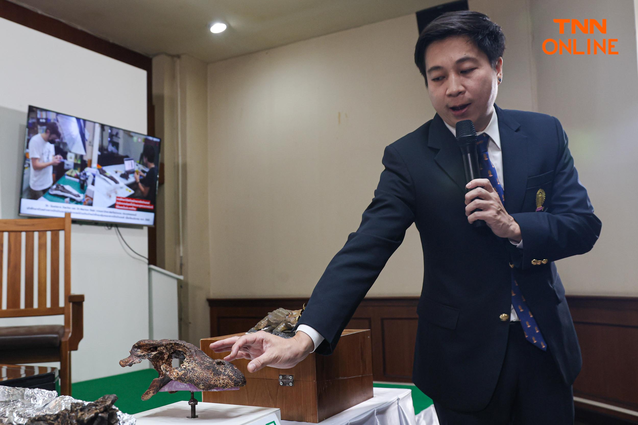 สายพันธุ์ใหม่ของโลก พบในไทยซากดึกดำบรรพ์อัลลิเกเตอร์ สายพันธุ์ใหม่ของโลก พบในไทยซากดึกดำบรรพ์อัลลิเกเตอร์