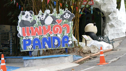 ย้อนรอย “ช่วงช่วง-หลินฮุ่ย” “แพนด้ายักษ์”ทูตสันถวไมตรี “ไทย-จีน” ย้อนรอย “ช่วงช่วง-หลินฮุ่ย” “แพนด้ายักษ์”ทูตสันถวไมตรี “ไทย-จีน”