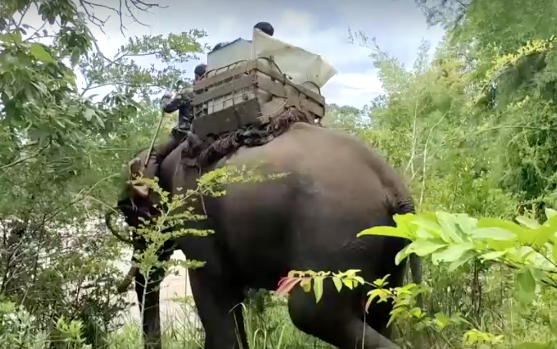 เปิดภาพหาดูยาก! กัมพูชาใช้ ‘ช้าง’ ขนหีบบัตรเลือกตั้งข้ามแม่น้ำ เปิดภาพหาดูยาก! กัมพูชาใช้ ‘ช้าง’ ขนหีบบัตรเลือกตั้งข้ามแม่น้ำ