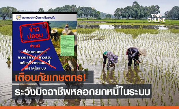เตือนภัยเกษตรกร!  ระวังมิจฉาชีพหลอกยกหนี้ในระบบ 