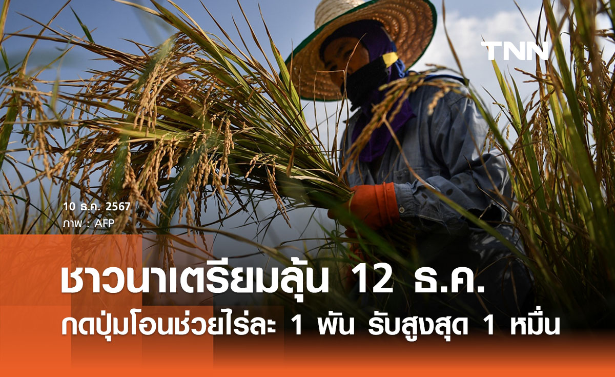 ชาวนาเตรียมลุ้นรอรับ 12 ธ.ค. กดปุ่มโอนช่วยไร่ละ 1 พัน รับสูงสุด 1 หมื่นบาท