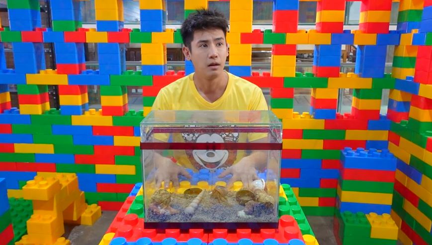 อู๋จุน ยูทูปเบอร์ชื่อดัง ขอโทษดราม่าจับปูเสฉวนมาเลี้ยง ลั่น! ไม่รู้จริงๆ สัญญาจะส่งคืน