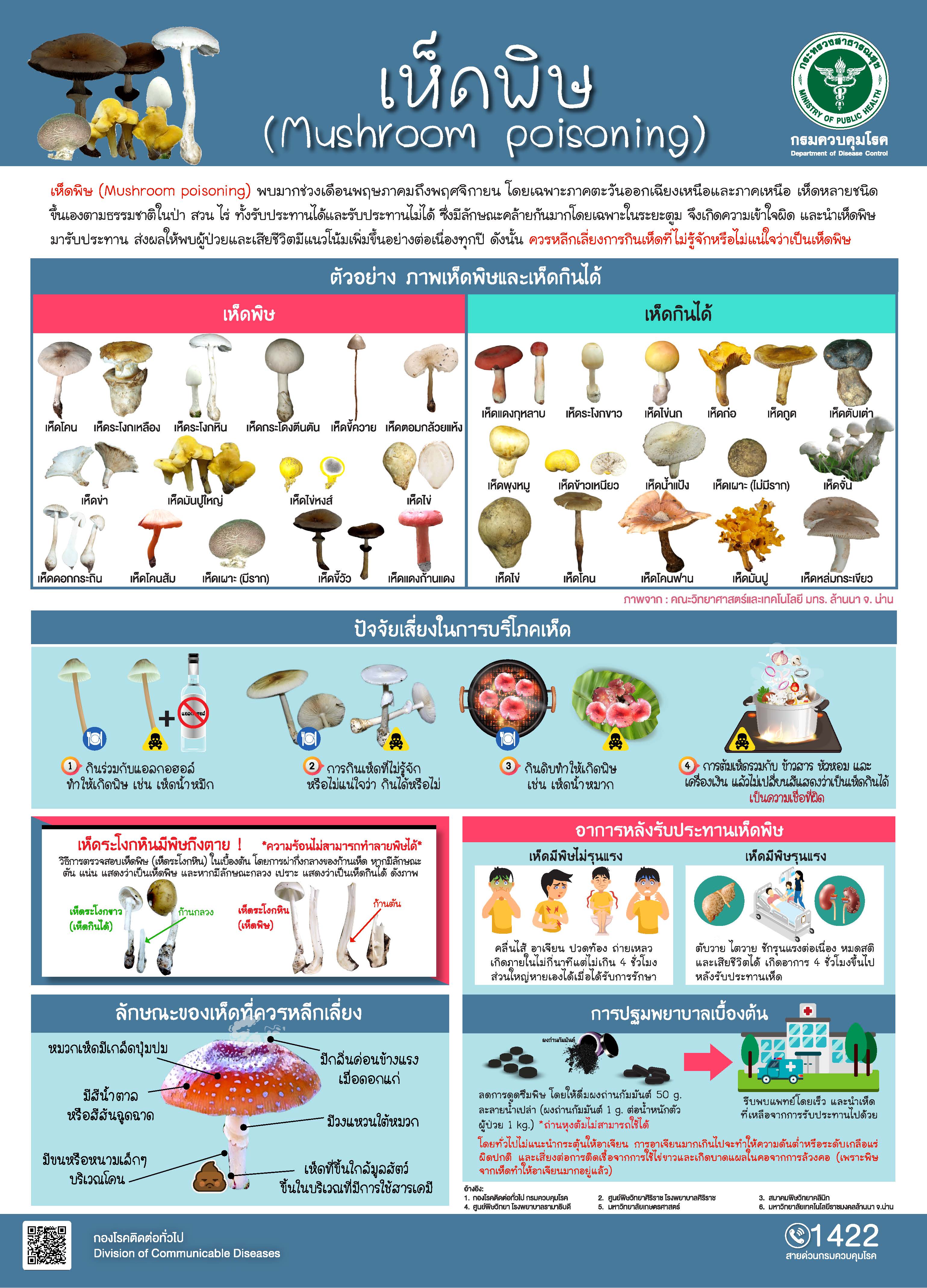 ฤดูฝนระวัง เห็ดพิษ ทานผิดโดยไม่ระวัง อันตรายถึงชีวิต! ฤดูฝนระวัง เห็ดพิษ ทานผิดโดยไม่ระวัง อันตรายถึงชีวิต!