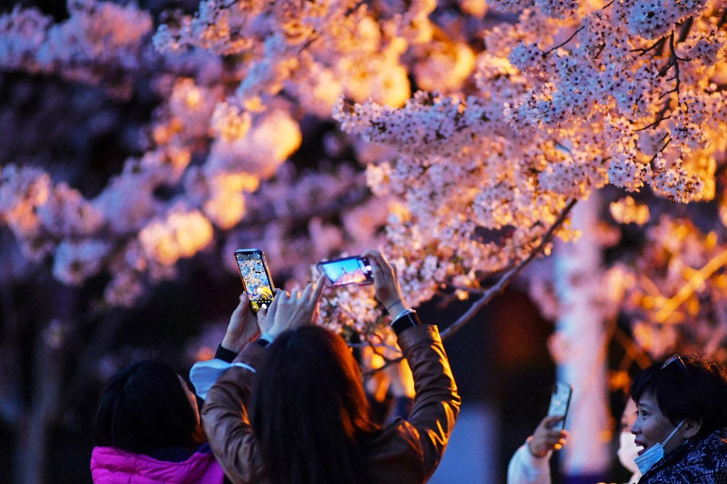 จีนจัดมหกรรมบุปผชาติร่วมฉลอง 100 ปีพรรคคอมมิวนิสต์ ตอน 1 โดย ดร.ไพจิตร วิบูลย์ธนสาร