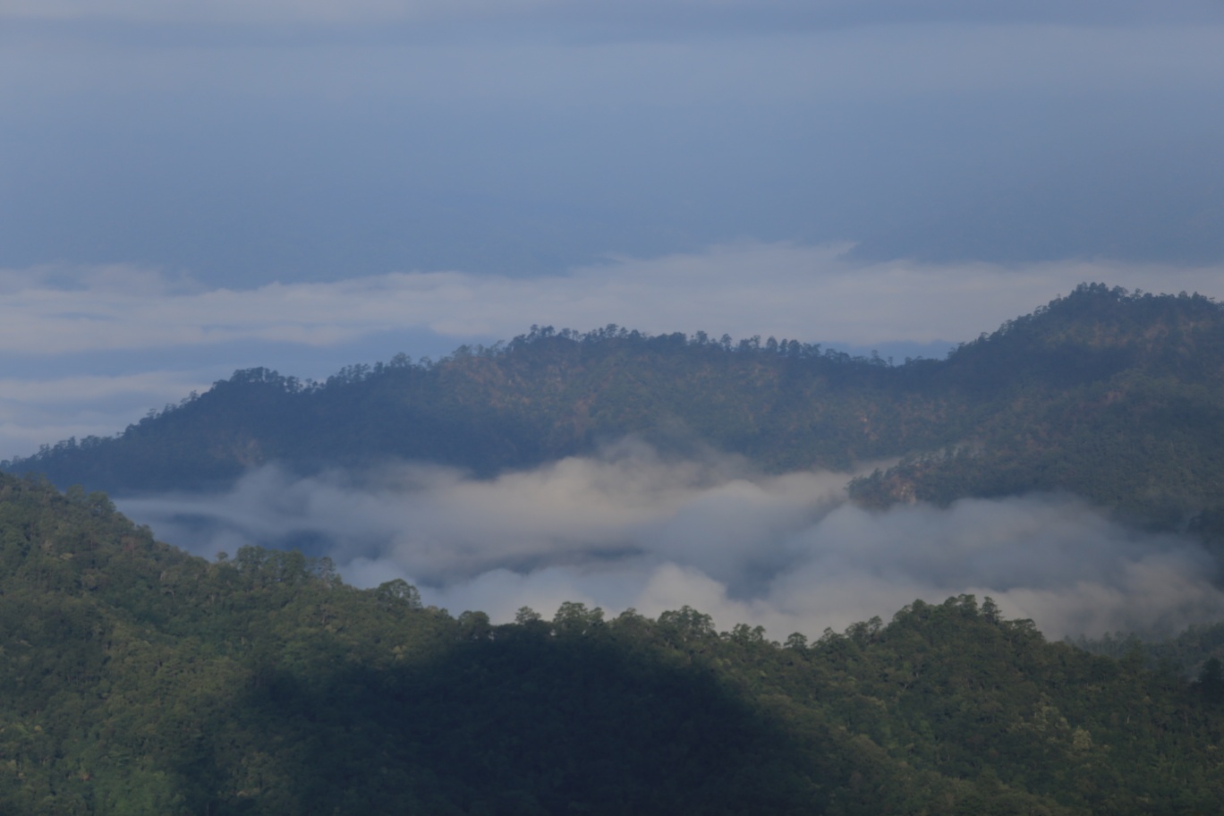 ยูเนสโกยก “ดอยเชียงดาว” พื้นที่สงวนชีวมณฑลของโลก ยูเนสโกยก “ดอยเชียงดาว” พื้นที่สงวนชีวมณฑลของโลก
