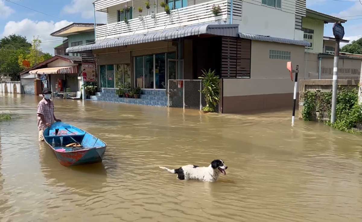 กกพ.ออก 3 มาตรการช่วยเหลือผู้ใช้ไฟฟ้า ในพื้นที่น้ำท่วม กกพ.ออก 3 มาตรการช่วยเหลือผู้ใช้ไฟฟ้า ในพื้นที่น้ำท่วม