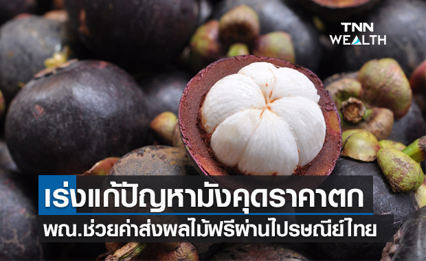 รบ.เร่งแก้ปัญหา "มังคุด" ราคาตก พณ.ช่วยค่าส่งผลไม้ฟรีผ่านไปรษณีย์ไทย
