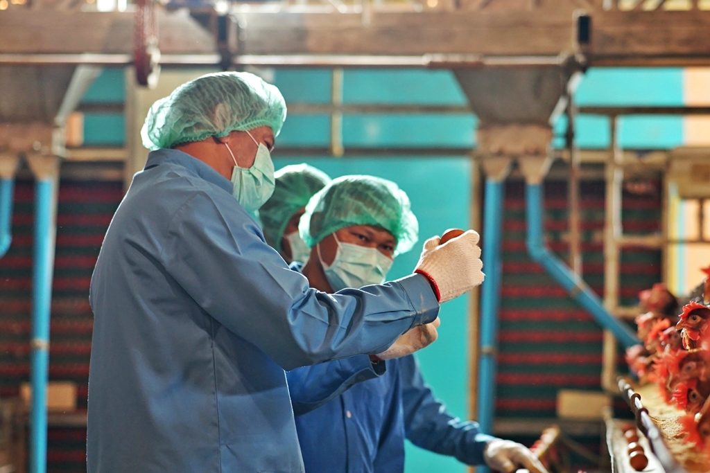 ซีพีเอฟ ส่งมอบ ฟาร์มสาธิตเลี้ยงหมู-ไก่ไข่ Green Farm แก่ ม.วลัยลักษณ์