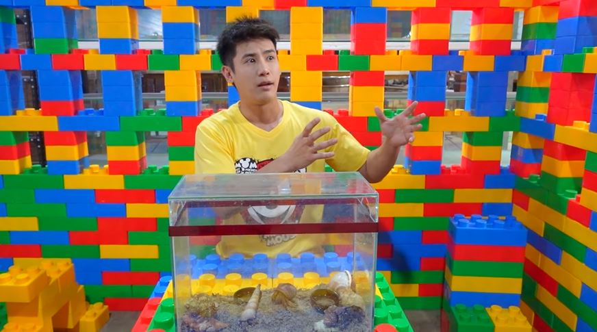 อู๋จุน ยูทูปเบอร์ชื่อดัง ขอโทษดราม่าจับปูเสฉวนมาเลี้ยง ลั่น! ไม่รู้จริงๆ สัญญาจะส่งคืน