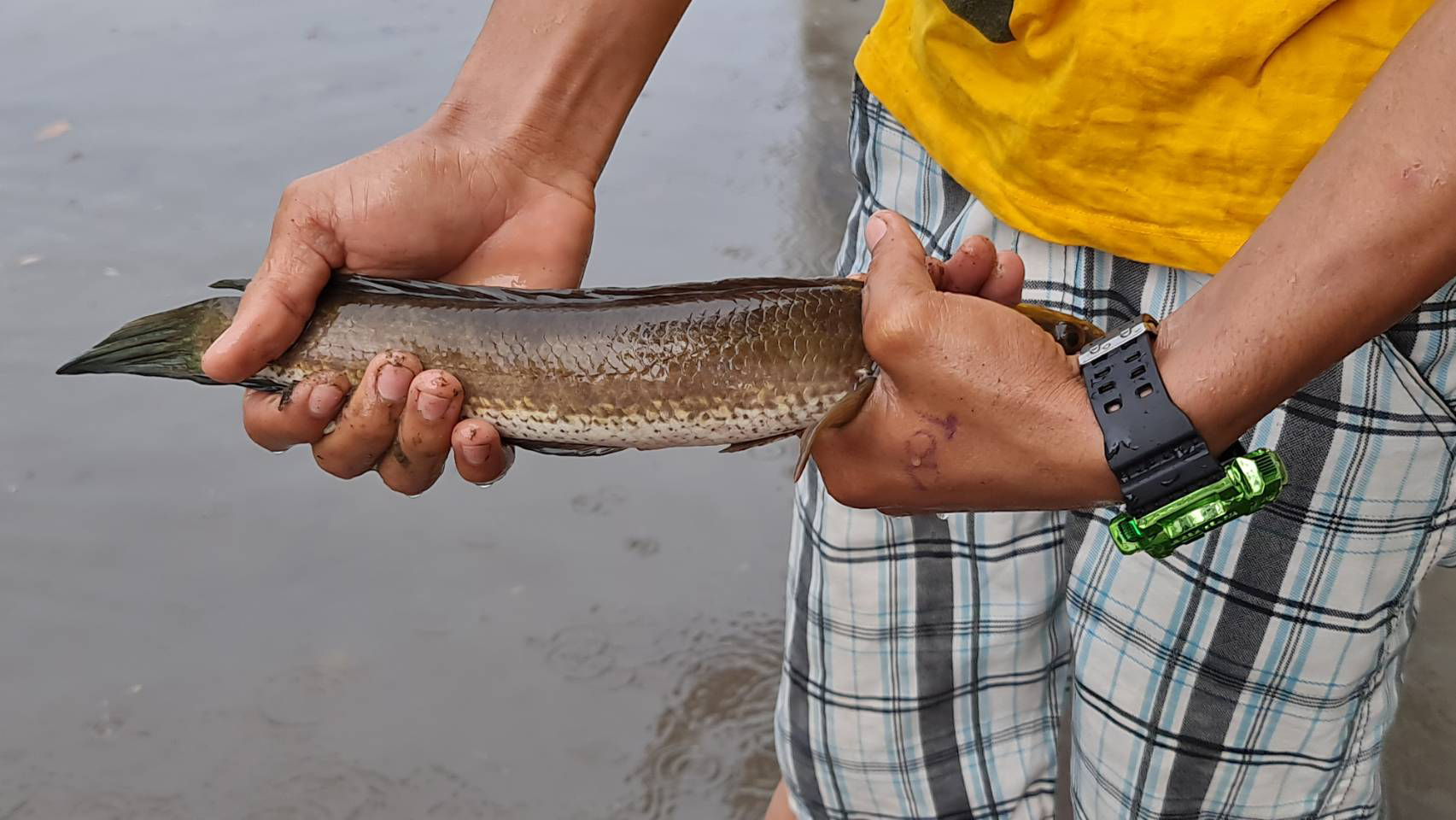 ฝนถล่มสัตหีบ น้ำระบายไม่ทัน จับปลาซะเลย! ฝนถล่มสัตหีบ น้ำระบายไม่ทัน จับปลาซะเลย!
