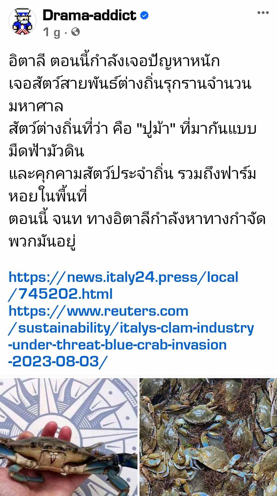 ปูม้าบุกอิตาลี! ไม่รอดคนไทยลองแล้ว เนื้อแน่น หวาน ไข่เต็มท้อง
