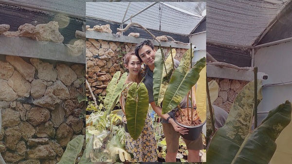 นาวิน ต้าร์ จับมือภรรยา ไฮโซน้ำหวาน ทำธุรกิจใหม่ (มีคลิป) นาวิน ต้าร์ จับมือภรรยา ไฮโซน้ำหวาน ทำธุรกิจใหม่ (มีคลิป)