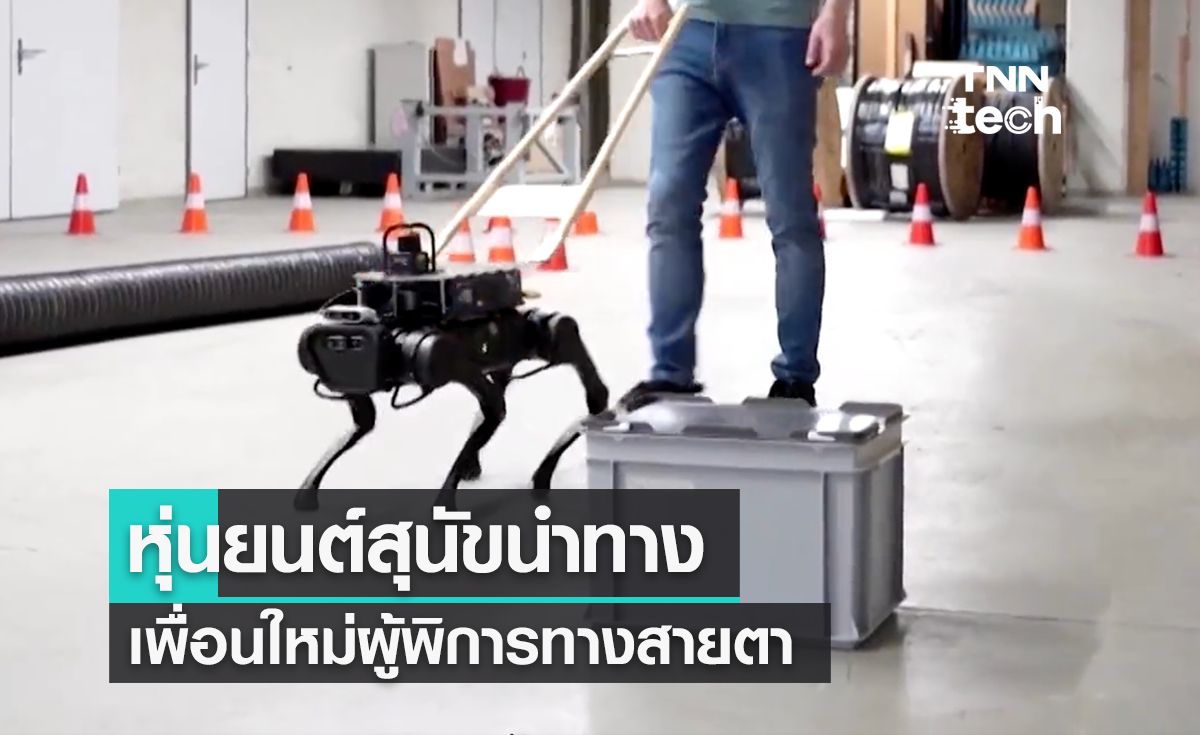 หุ่นยนต์สุนัขนำทาง เพื่อนใหม่ของผู้พิการทางสายตา