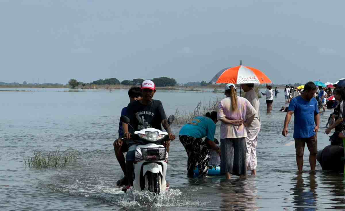 พลิกวิกฤต เปลี่ยนทุ่งตาลเอนพื้นที่รับน้ำเป็นสถานที่ท่องเที่ยว พลิกวิกฤต เปลี่ยนทุ่งตาลเอนพื้นที่รับน้ำเป็นสถานที่ท่องเที่ยว