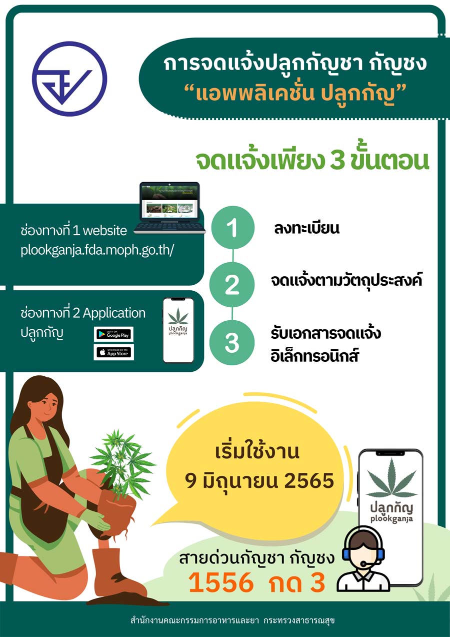 ลงทะเบียนปลูกกัญชา ล่าสุดปชช.จดแจ้งแล้ว 7.8 แสนคน ลงทะเบียนปลูกกัญชา ล่าสุดปชช.จดแจ้งแล้ว 7.8 แสนคน