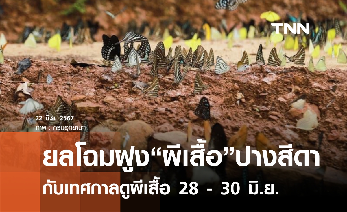 ชวนเที่ยวเมืองรอง กับเทศกาลดู"ผีเสื้อ"ปางสีดา 