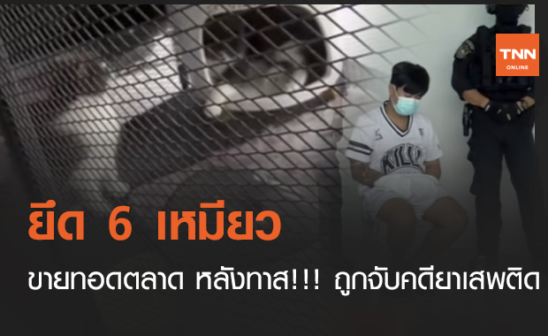 ยึด 6 เหมียวขายทอดตลาด หลังทาส!!! ถูกจับคดียาเสพติด (คลิป)