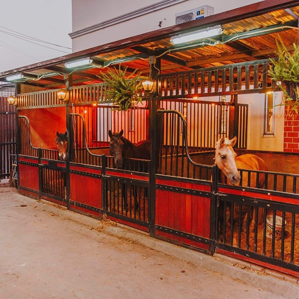 10 คาเฟ่แถวรามคำแหง คาเฟ่สุดเก๋ ห้ามพลาดไปเช็กอิน