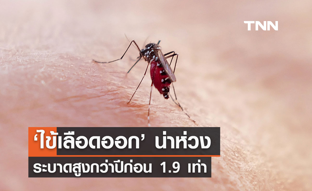สถานการณ์ ‘ไข้เลือดออก’ น่าห่วง ระบาดสูงกว่าปีก่อน 1.9 เท่า 