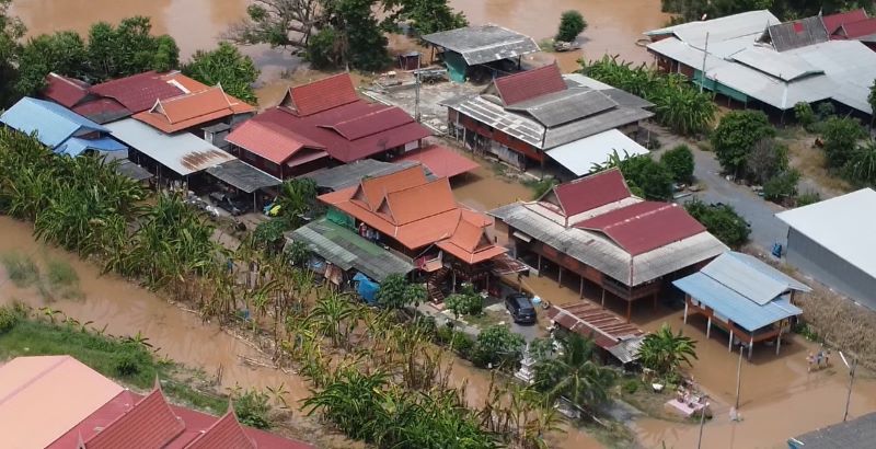 ชาวบางบาลย้ายสัตว์เลี้ยงหนีน้ำท่วม