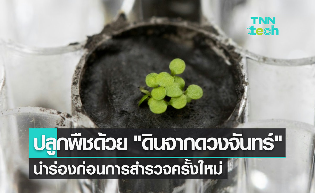 ปลูกพืชด้วย "ดินจากดวงจันทร์" ได้สำเร็จเป็นครั้งแรก !! นำร่องก่อนการสำรวจครั้งใหม่