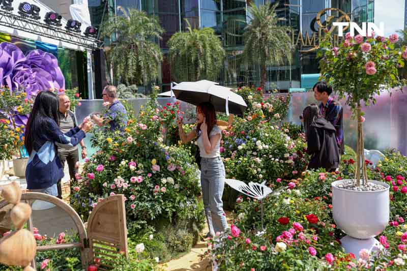 ยลโฉมกุหลาบ 260 สายพันธุ์ เนรมิตสวนกุหลาบใจกลางกรุงเทพ ยลโฉมกุหลาบ 260 สายพันธุ์ เนรมิตสวนกุหลาบใจกลางกรุงเทพ