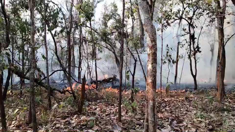 เชียงใหม่แย่สุดอันดับ 4 ของโลก-พบจุดความร้อนเช้านี้ 264 จุด เชียงใหม่แย่สุดอันดับ 4 ของโลก-พบจุดความร้อนเช้านี้ 264 จุด