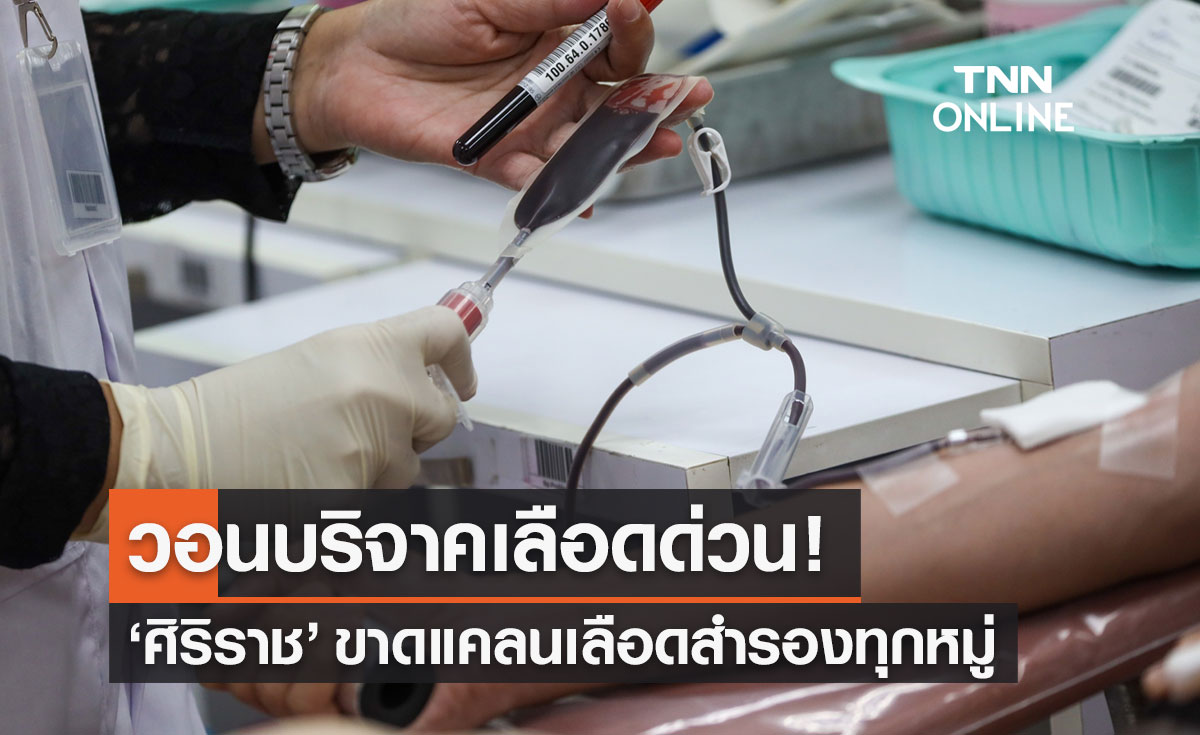 รพ.ศิริราช ขาดแคลนเลือดสำรองทุกหมู่ ช่วงหยุดยาว วอนช่วยบริจาคเลือด