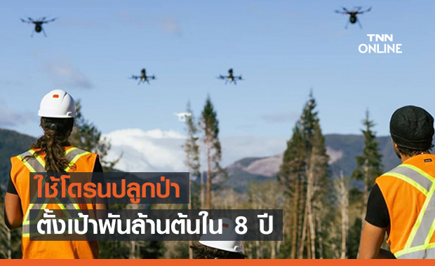 ปลูกต้นไม้ 1 พันล้านต้นใน 8 ปี กับสตาร์ทอัพ ''Flash Forest"