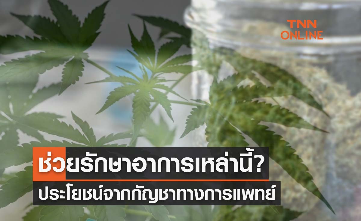 ประโยชน์จากกัญชาทางการแพทย์ ช่วยรักษาอาการเหล่านี้?