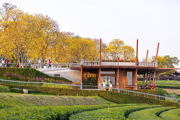 15 ที่เที่ยวเชียงราย 2565 แอ่วเมืองเหนือ สุดเขตแดนสยาม 15 ที่เที่ยวเชียงราย 2565 แอ่วเมืองเหนือ สุดเขตแดนสยาม