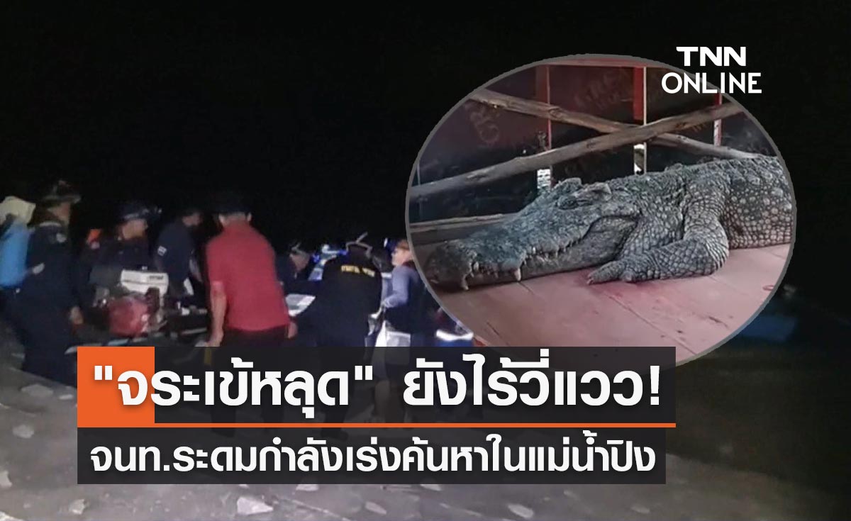 "จระเข้หลุด" แม่น้ำปิงนครสวรรค์ จนท.ปูพรมค้นหาทั้งคืนยังไร้วี่แวว!