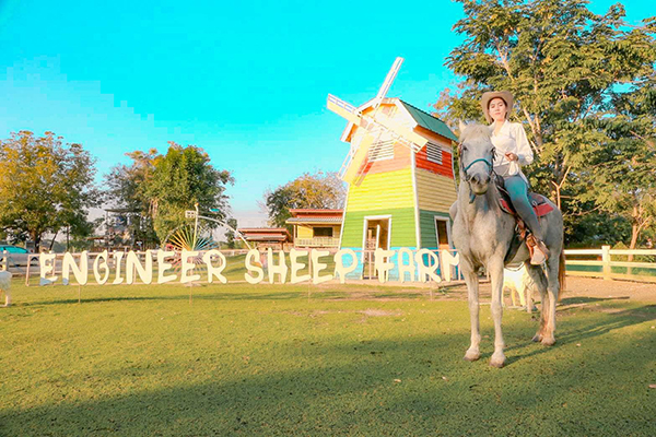 10 ที่เที่ยวนครสวรรค์ เช็กอินฟินเพลิน เมืองสวรรค์ปากน้ำโพ